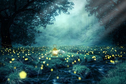 drawing of a magical forest with glowing flowers