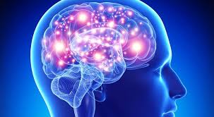 Сознание и подсознание – как работает мозг?